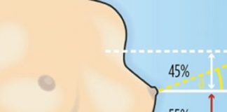 Perfect Breast Shape Calculated