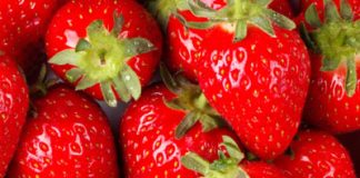Strawberry Protects the Stomach