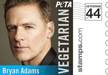 No meat for Bryan Adams