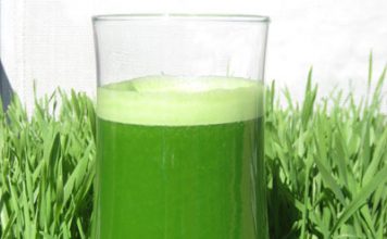 Latest Beauty and Health Trend: Wheat Grass Juice