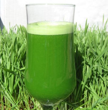 Latest Beauty and Health Trend: Wheat Grass Juice