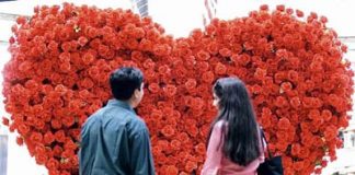 How to Spend Valentine's Day