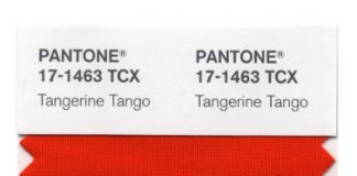 Trendy Colors for the FW 2012-2013 by Pantone