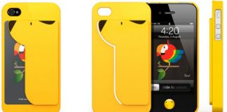 iPhone Case and Card Holder in One