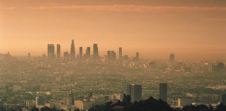Millions of City Livers to Die of Air Pollution by the Year 2050