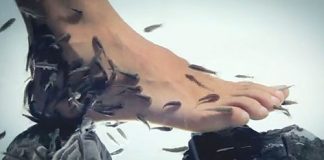 Fish Pedicure Is Dangerous