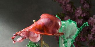 Jack Long's Liquid Flowers