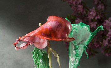 Jack Long's Liquid Flowers