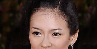 Actress Zhang Ziyi Accused of Prostitution