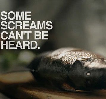 New PETA Campaign "Silent Scream"