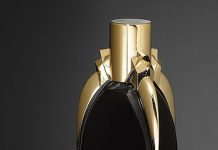 Lady Gaga's Ad Photo for Her Fragrance Fame