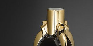 Lady Gaga's Ad Photo for Her Fragrance Fame