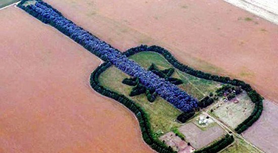 Guitar Forest to Commemorate Wife