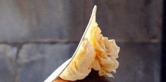 UK's Top 10 Natural Beauties