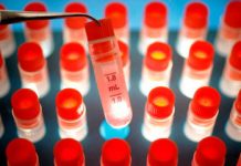 Nobel Prize Goes to Stem Cells and Cloning Researchers