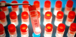 Nobel Prize Goes to Stem Cells and Cloning Researchers