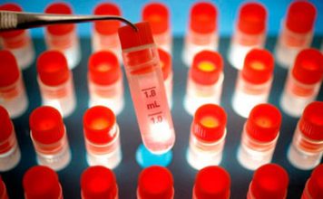 Nobel Prize Goes to Stem Cells and Cloning Researchers