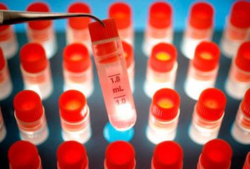 Nobel Prize Goes to Stem Cells and Cloning Researchers