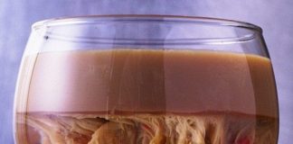 Halloween Party Drinks Ideas