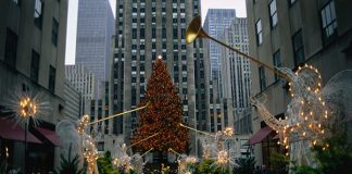 Christmas Trees in Different Cities