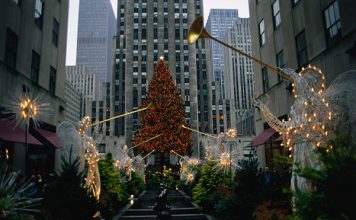 Christmas Trees in Different Cities