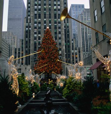 Christmas Trees in Different Cities