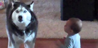 Cute Video: Baby and Dog Talking