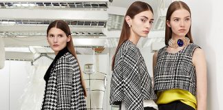 Christian Dior Pre-Fall 2013
