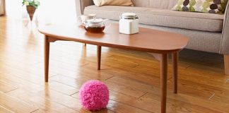 Cute Mocoro Moss Ball Cleans the Flat