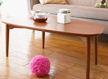 Cute Mocoro Moss Ball Cleans the Flat