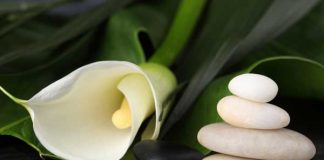 How to Detoxify Your Body?