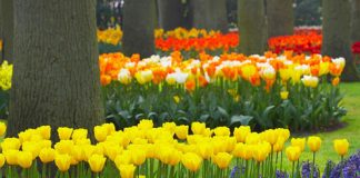 10 Best Spring 2013 Fragrances