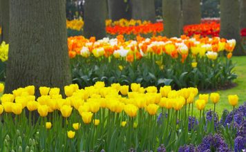 10 Best Spring 2013 Fragrances