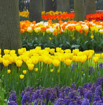 10 Best Spring 2013 Fragrances