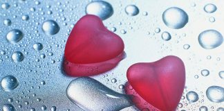 Noise Harms the Heart Health