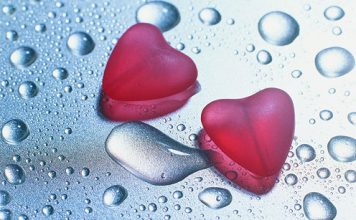 Noise Harms the Heart Health