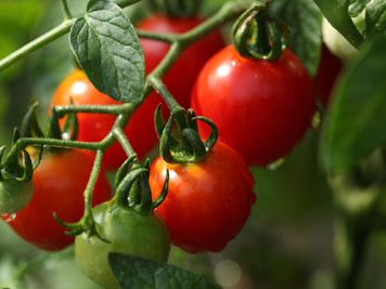 10 Dieting Tips to Avoid Wrinkles