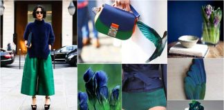 Summer Colorful Moodboards