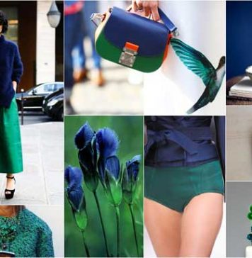 Summer Colorful Moodboards