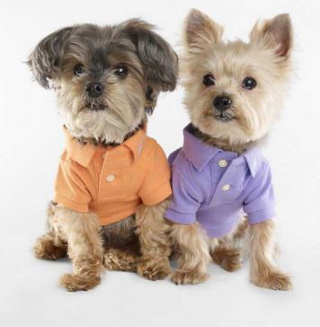 Ralph Lauren Creates a Pet Fashion Line
