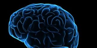 Talking to Yourself Beneficial to Your Brain Health