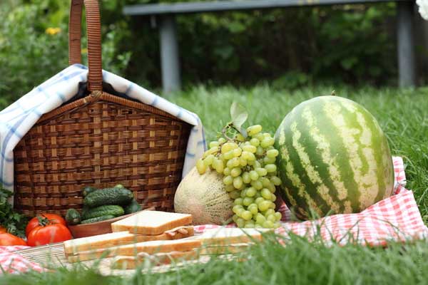 melon-watermelon-picnic