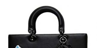 Andy Warhol Dior Handbags