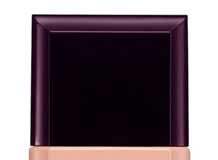 Shiseido Fall 2013 Makeup