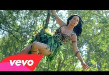 Roar Lyrics – Katy Perry