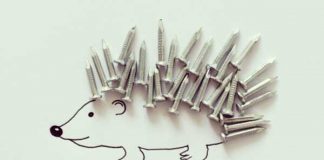 Javier Perez's Creative Pics