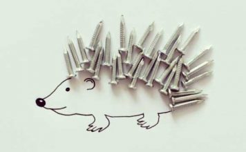 Javier Perez's Creative Pics