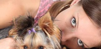 10% of Women Prefer Pets to Men