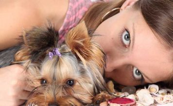 10% of Women Prefer Pets to Men