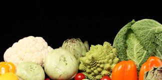 Paleo Diet Is The Most Popular One in 2013
